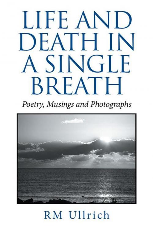 Cover of the book Life and Death in a Single Breath by RM Ullrich, Xlibris US