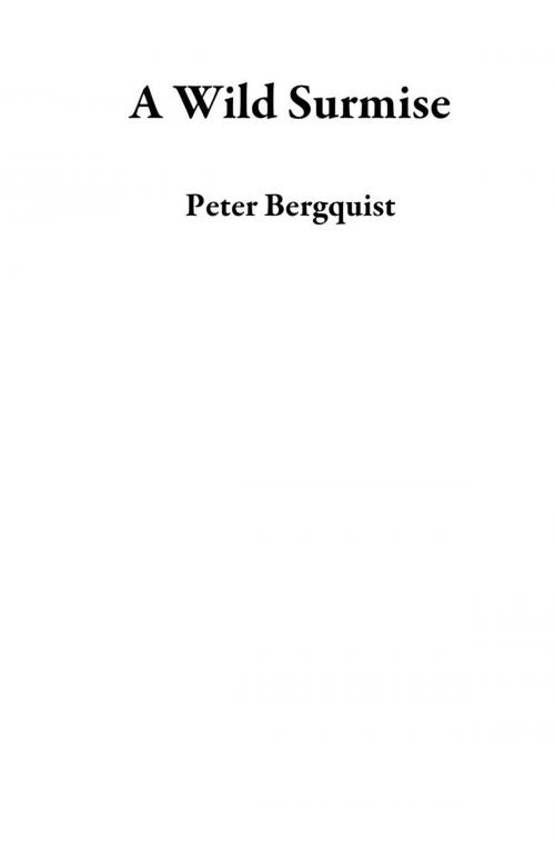 Cover of the book A Wild Surmise by Peter Bergquist, Peter Bergquist