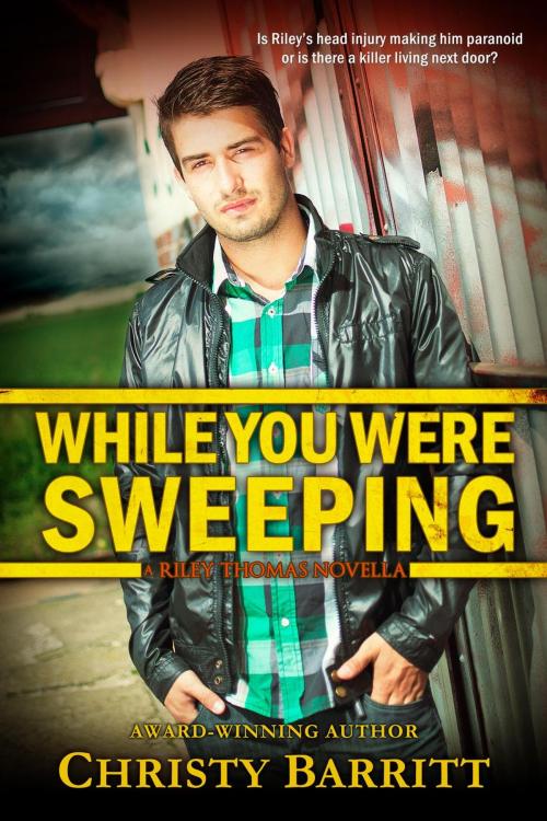 Cover of the book While You Were Sweeping by Christy Barritt, Christy Barritt