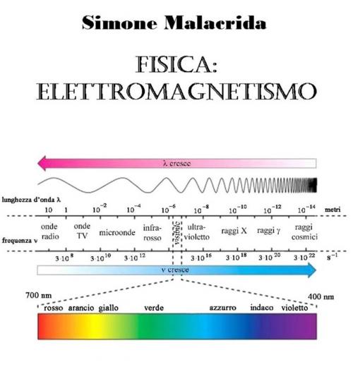 Cover of the book Fisica: elettromagnetismo by Simone Malacrida, Simone Malacrida
