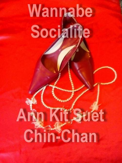 Cover of the book Wannabe Socialite by ann chin, ann chin
