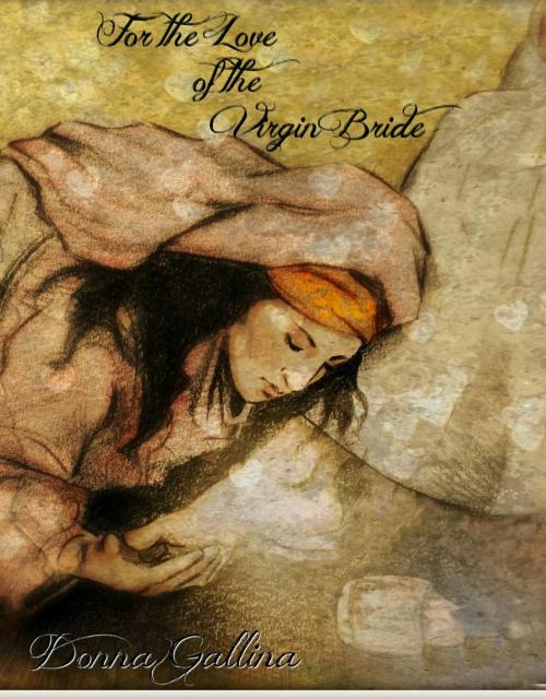 Cover of the book For the Love of the Virgin Bride by Donna Gallina, Donna Gallina