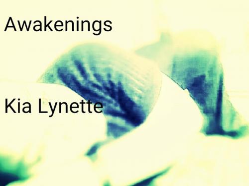 Cover of the book Awakenings by Kia Lynette, Kia Lynette