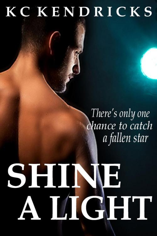 Cover of the book Shine A Light by KC Kendricks, White Deer Enterprises/White Deer Books