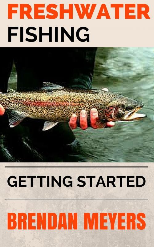 Cover of the book Freshwater Fishing - Getting Started by Brendan Meyers, Brendan Meyers