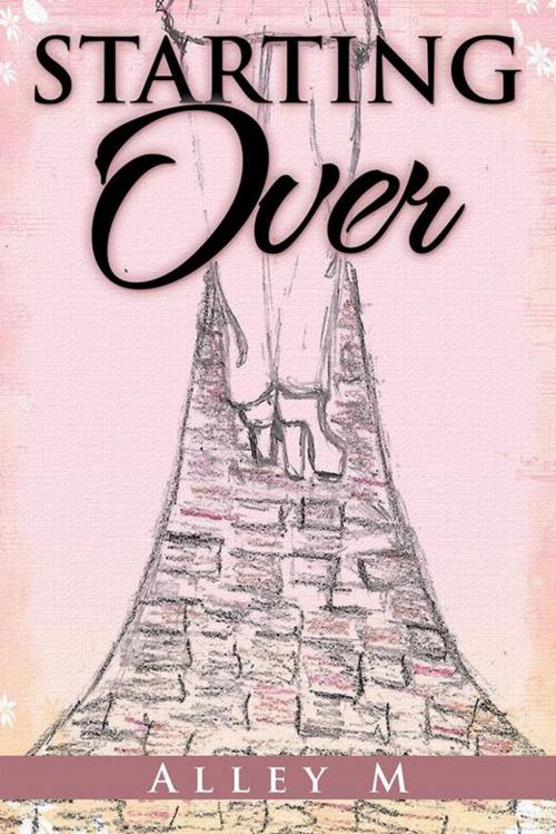 Cover of the book Starting Over by Alley M, AuthorHouse