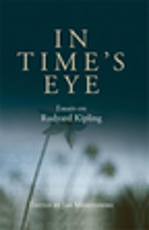 Cover of the book In Time's eye by , Manchester University Press