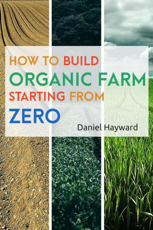 Cover of the book HOW TO BUILD ORGANIC FARM STARTING FROM ZERO by Daniel Hayward, Wise secret
