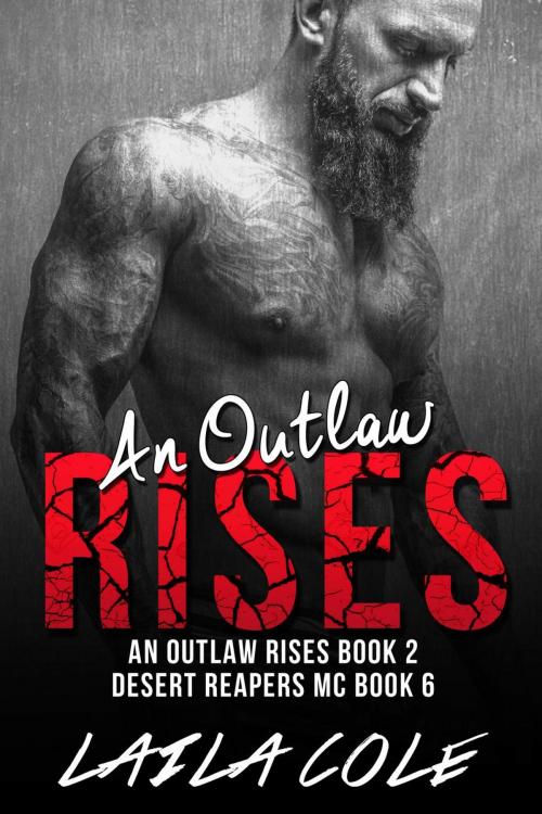 Cover of the book An Outlaw Rises - Book 2 by Laila Cole, Supernova Erotica