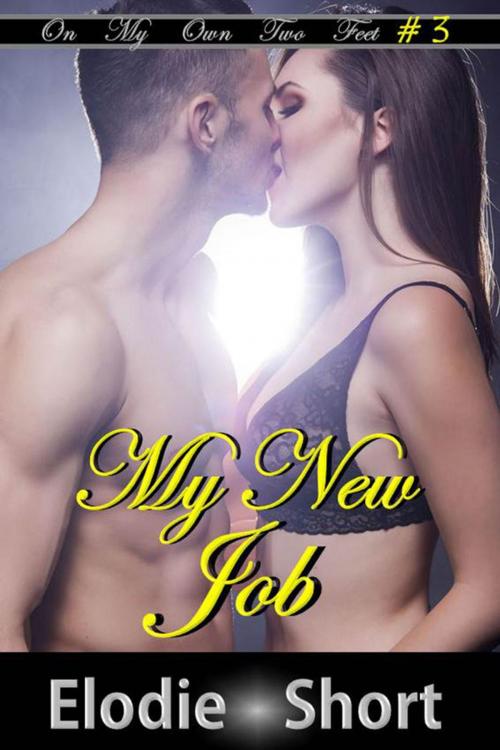 Cover of the book My New Job by Elodie Short, Elodie Short