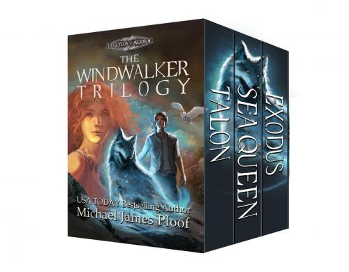 Cover of the book The Windwalker Trilogy by Michael James Ploof, Traveling Bard Publishing