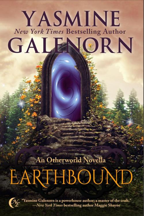 Cover of the book Earthbound: An Otherworld Novella by Yasmine Galenorn, Nightqueen Enterprises LLC