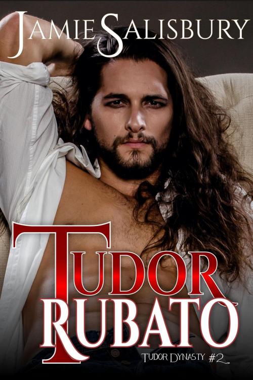 Cover of the book Tudor Rubato by Jamie Salisbury, Jamie Salisbury