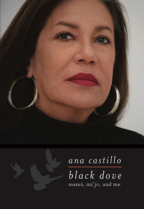 Cover of the book Black Dove by Ana Castillo, The Feminist Press at CUNY