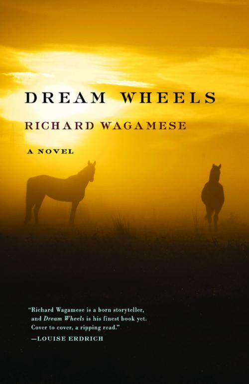 Cover of the book Dream Wheels by Richard Wagamese, Milkweed Editions