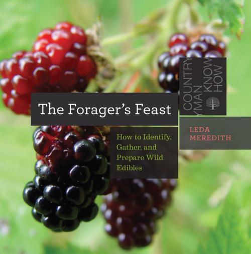 Cover of the book The Forager's Feast: How to Identify, Gather, and Prepare Wild Edibles (Countryman Know How) by Leda Meredith, Countryman Press