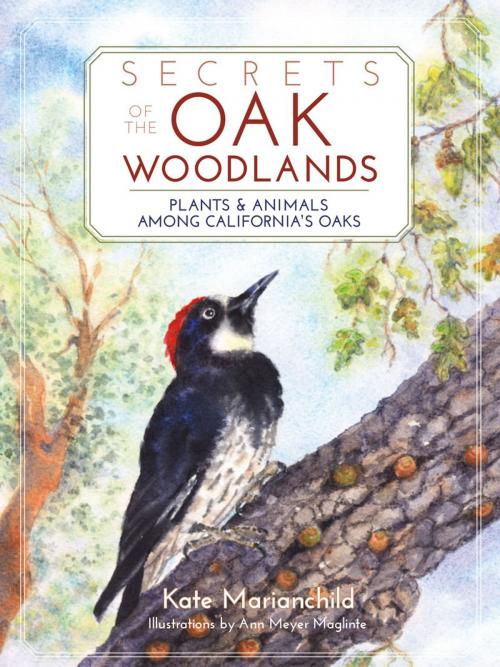 Cover of the book Secrets of the Oak Woodlands by Kate Marianchild, Ann Meyer Maglinte, Heyday