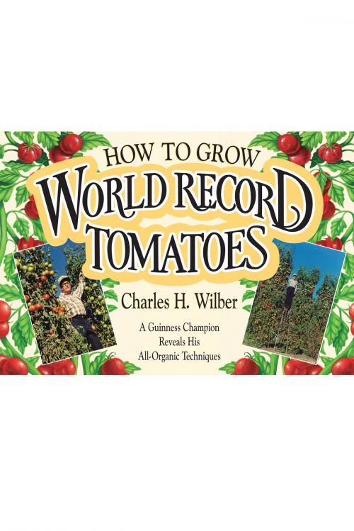 Cover of the book How to Grow World Record Tomatoes by Charles H. Wilber, Acres U.S.A.