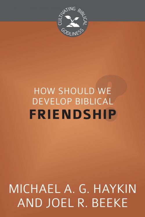 Cover of the book How Should We Develop Biblical Friendship by Joel R. Beeke, Michael A. G. Haykin, Reformation Heritage Books