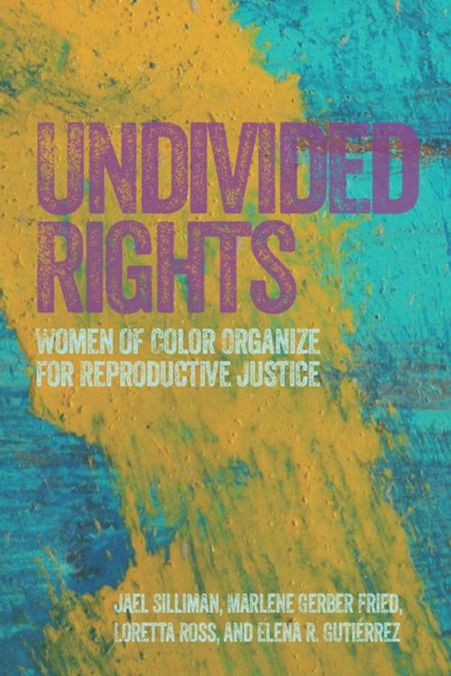 Cover of the book Undivided Rights by Jael Silliman, Marlene Gerber Fried, Loretta Ross, Elena Gutiérrez, Haymarket Books