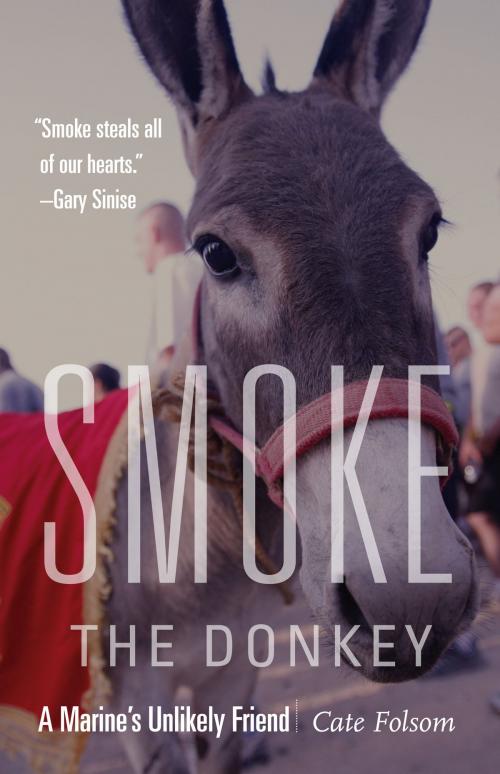 Cover of the book Smoke the Donkey by Cate Folsom, Potomac Books