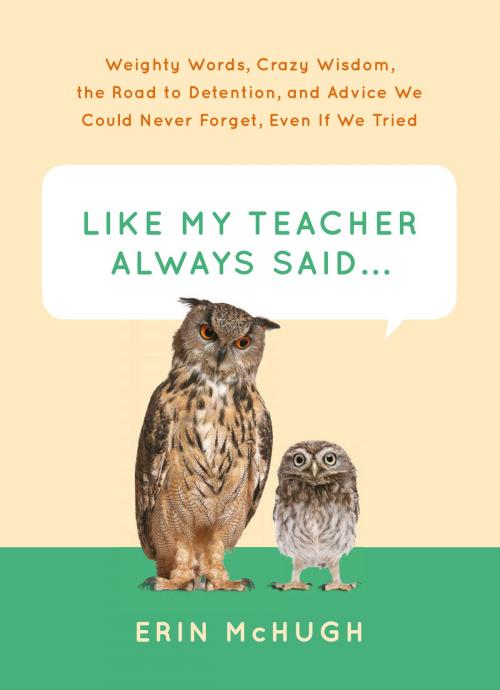 Cover of the book Like My Teacher Always Said... by Erin McHugh, ABRAMS