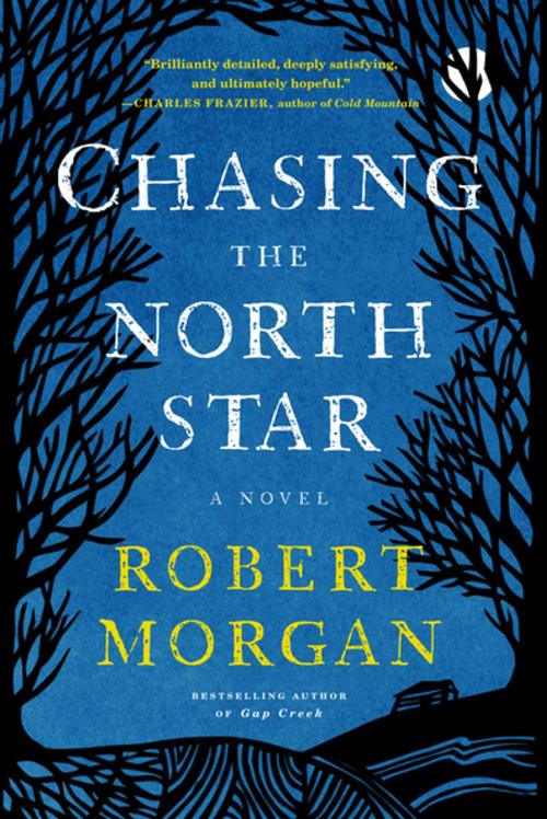 Cover of the book Chasing the North Star by Robert Morgan, Algonquin Books