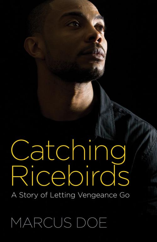 Cover of the book Catching Ricebirds by Doe, Marcus, Hendrickson Publishers