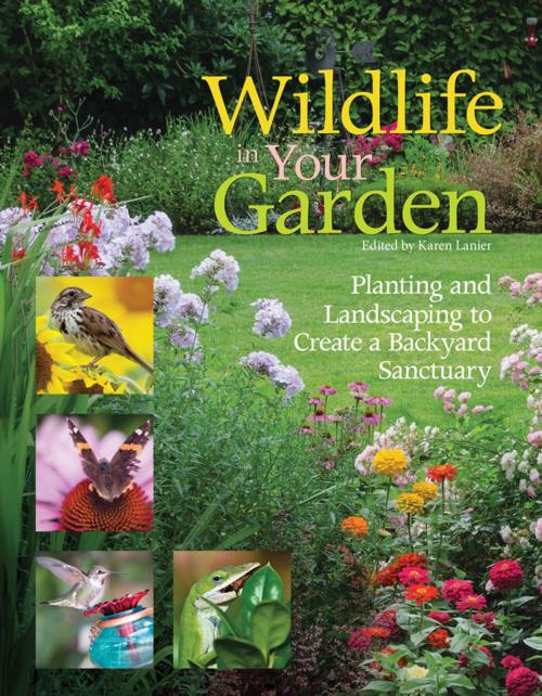 Cover of the book Wildlife in Your Garden by , CompanionHouse Books