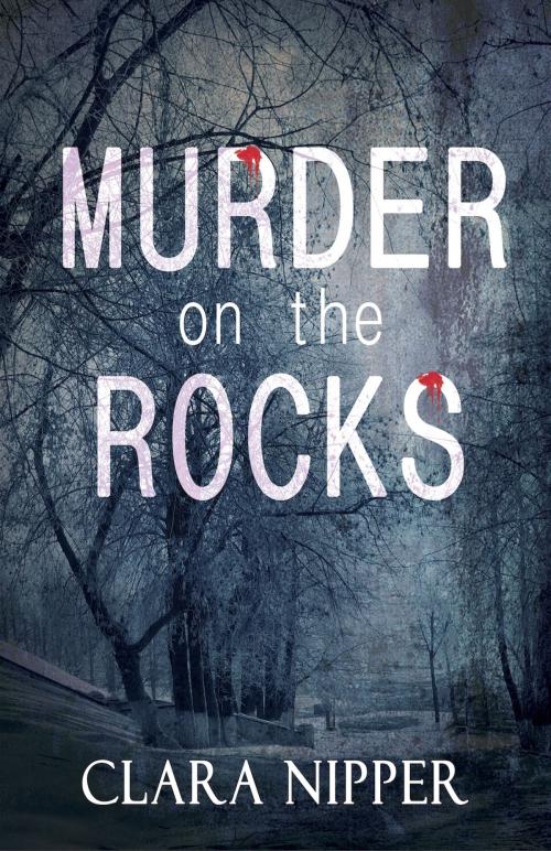 Cover of the book Murder on the Rocks by Clara Nipper, Bold Strokes Books ,  Inc.
