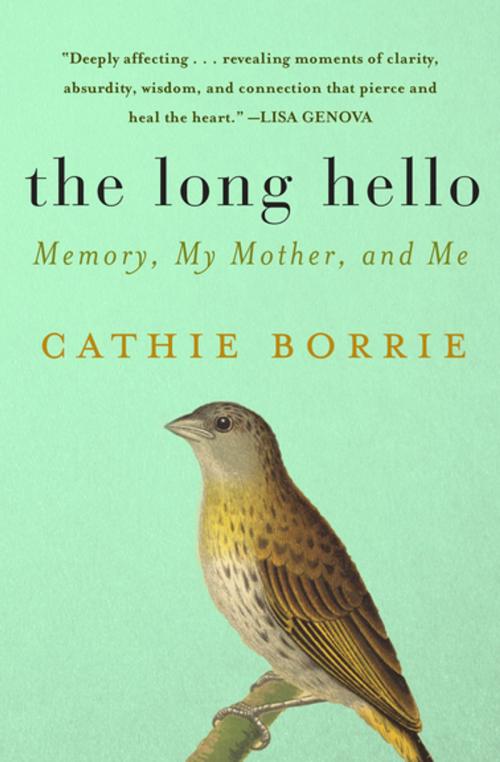 Cover of the book The Long Hello by Cathie Borrie, Skyhorse Publishing