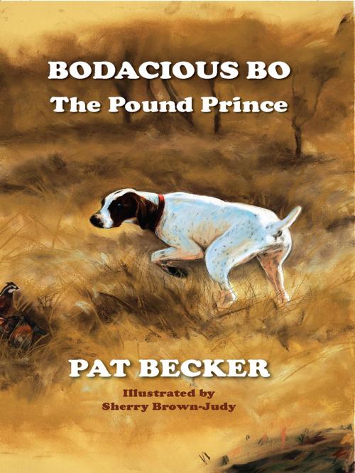 Cover of the book Bodacious Bo The Pound Prince by Pat Becker, Total Publishing