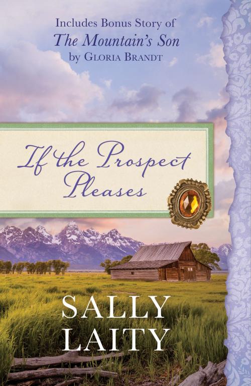 Cover of the book If the Prospect Pleases by Sally Laity, Gloria Brandt, Barbour Publishing, Inc.