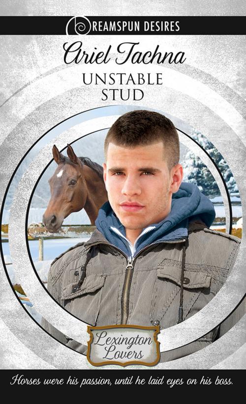Cover of the book Unstable Stud by Ariel Tachna, Dreamspinner Press