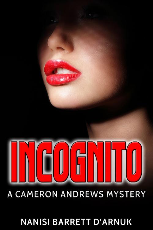 Cover of the book Incognito by Nanisi Barrett D'Arnuk, JMS Books LLC