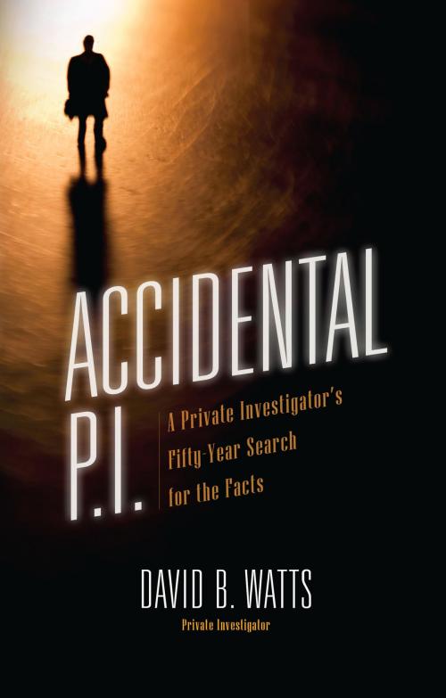 Cover of the book Accidental P.I. by David Watts, North Loop Books