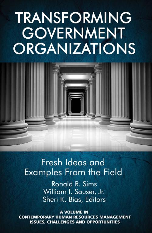 Cover of the book Transforming Government Organizations by , Information Age Publishing