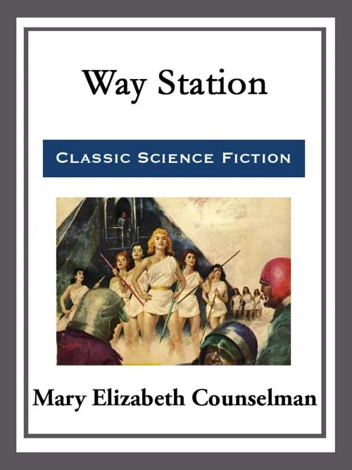 Cover of the book Way Station by Mary Elizabeth Counselman, Start Publishing LLC