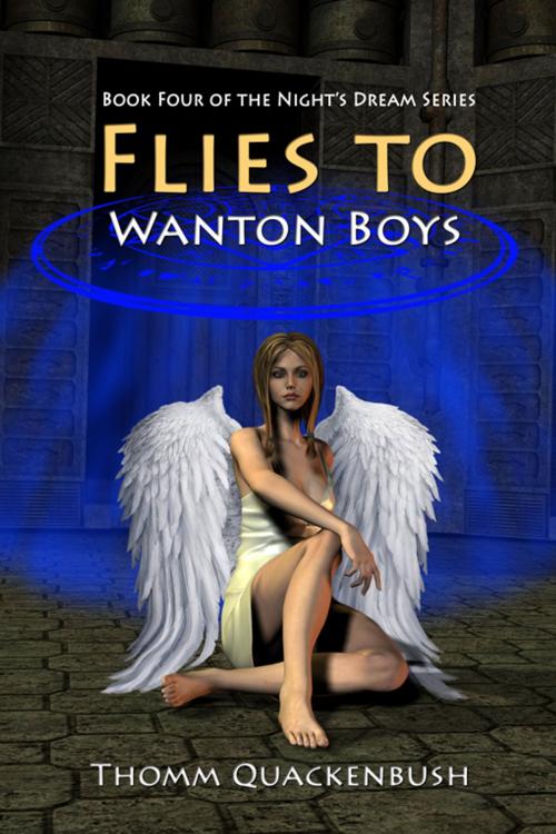 Cover of the book Flies To Wanton Boys by Thomm Quackenbush, Double Dragon Publishing