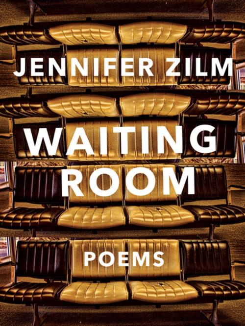 Cover of the book Waiting Room by Jennifer Zilm, BookThug