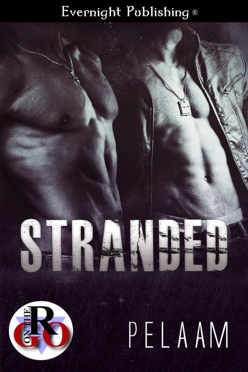 Cover of the book Stranded by Pelaam, Evernight Publishing