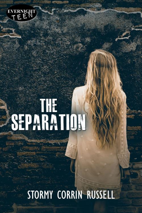 Cover of the book The Separation by Stormy Corrin Russell, Evernight Teen