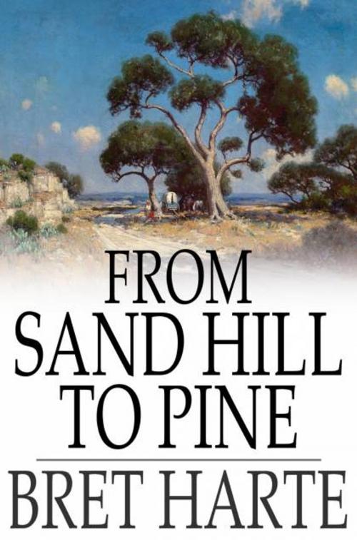 Cover of the book From Sand Hill to Pine by Bret Harte, The Floating Press