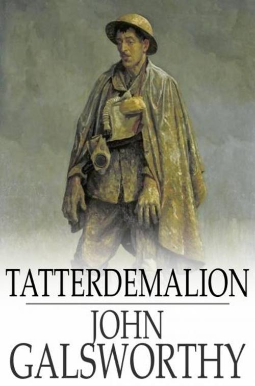 Cover of the book Tatterdemalion by John Galsworthy, The Floating Press