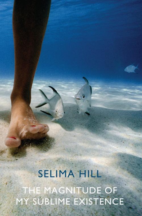 Cover of the book The Magnitude of My Sublime Existence by Selima Hill, Bloodaxe Books