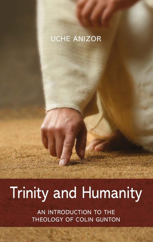 Cover of the book Trinity and Humanity by Uche Anizor, Authentic Publishers