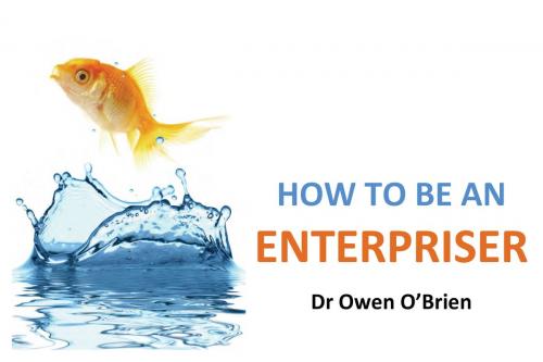 Cover of the book How to be an Enterpriser by Owen O'Brien, 0 0 1, Oak Tree Press
