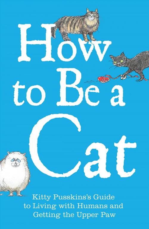 Cover of the book How to Be a Cat by Kitty Pusskin, Mark Leigh, Michael O'Mara