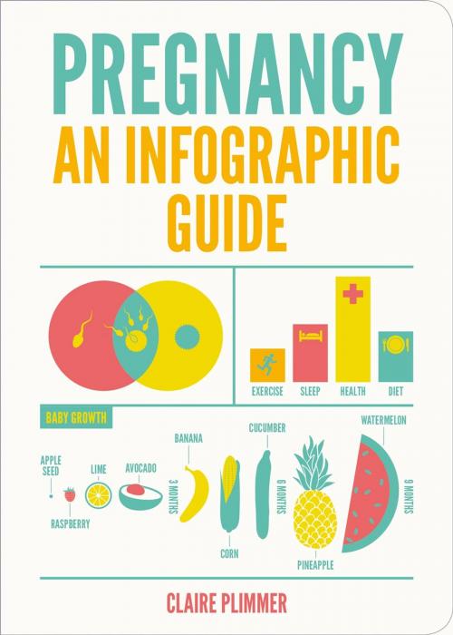 Cover of the book Pregnancy: An Infographic Guide by Claire Plimmer, Summersdale Publishers Ltd