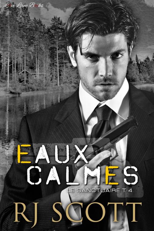 Cover of the book Eaux Calmes by RJ Scott, Love Lane Books Ltd